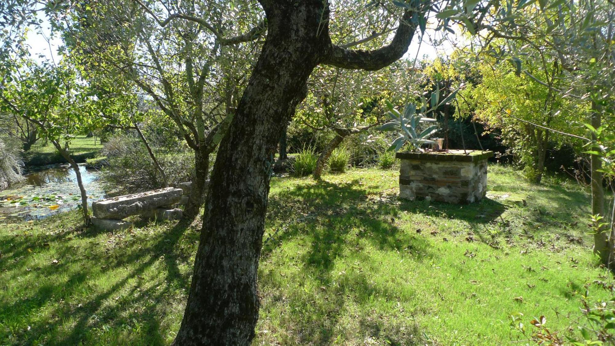 Le Ninfee Bed & Breakfast Cassino Bagian luar foto