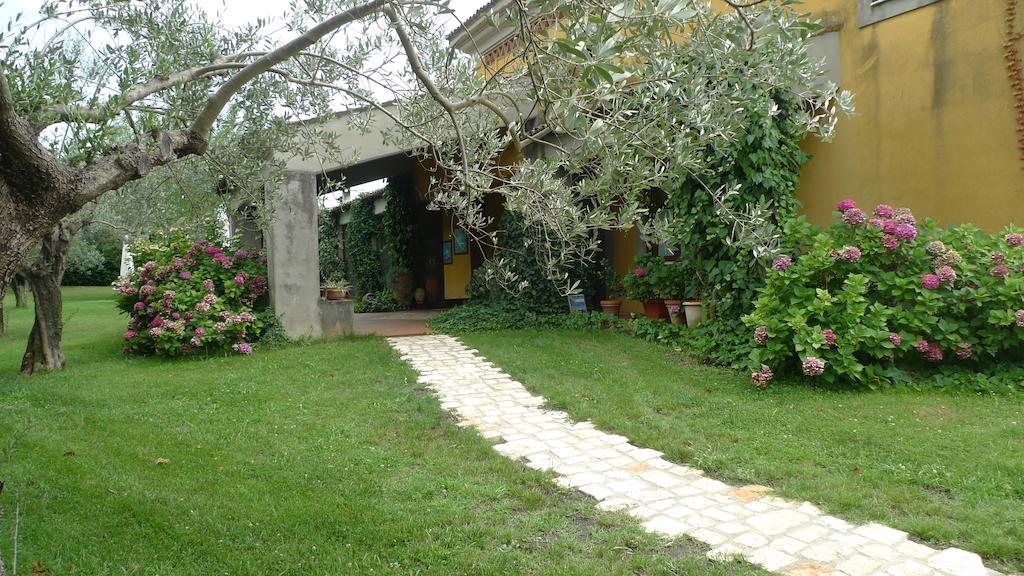 Le Ninfee Bed & Breakfast Cassino Bagian luar foto