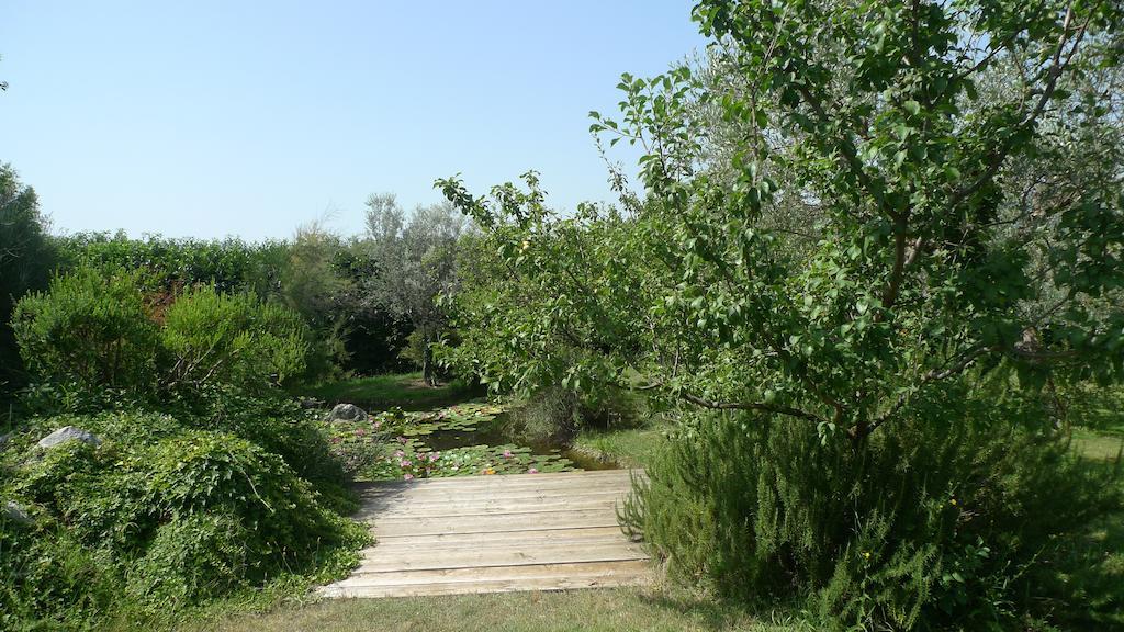 Le Ninfee Bed & Breakfast Cassino Bagian luar foto