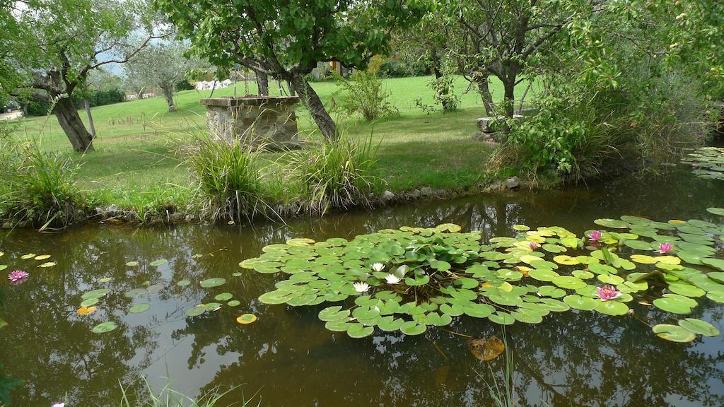 Le Ninfee Bed & Breakfast Cassino Bagian luar foto